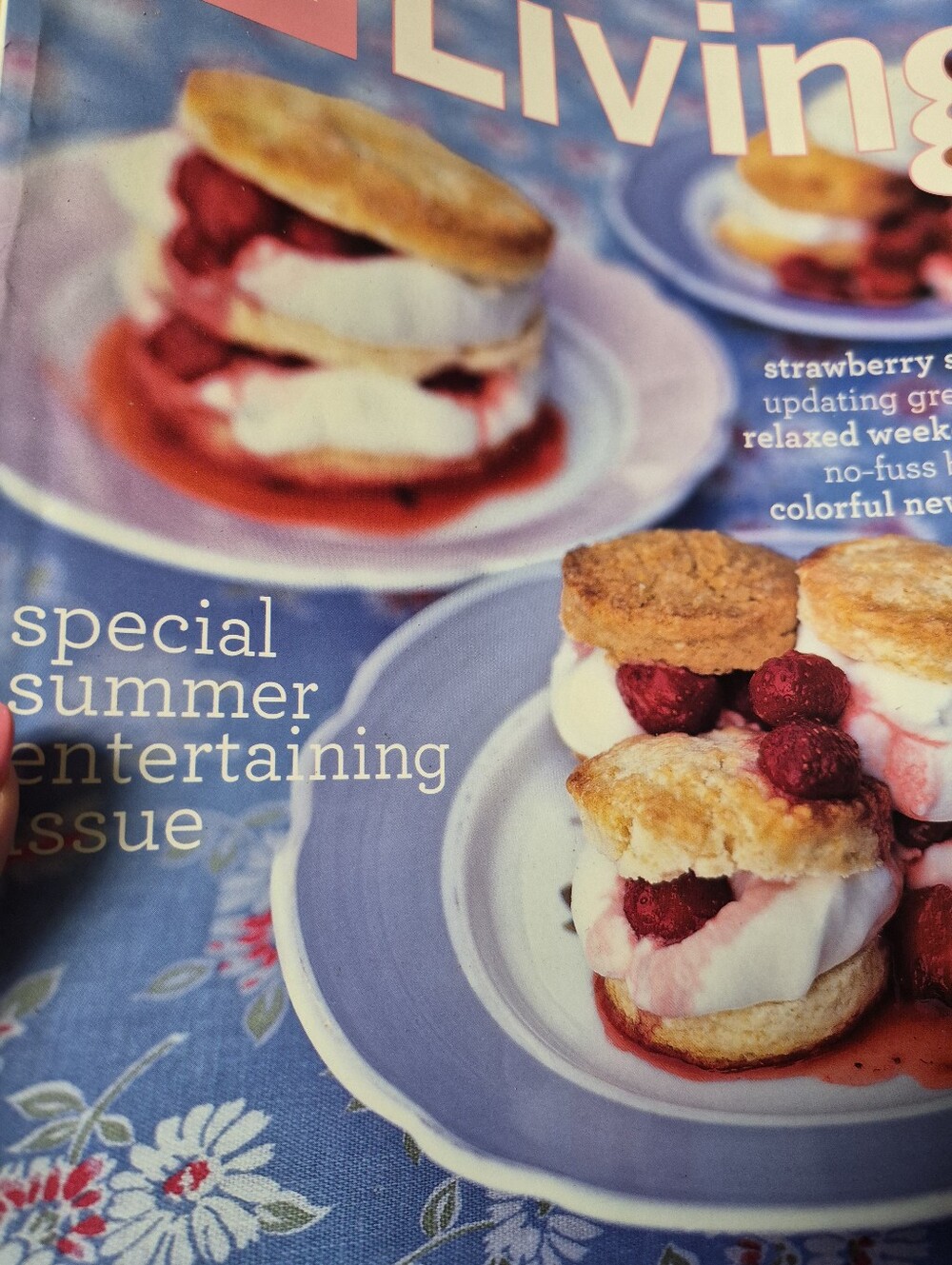 Martha Stewart Living Magazine July 2003